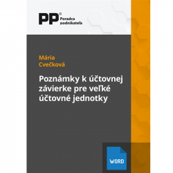 Pozn�mky k ��tovnej z�vierke pre ve�k� ��tovn� jednotky (za rok 2024)